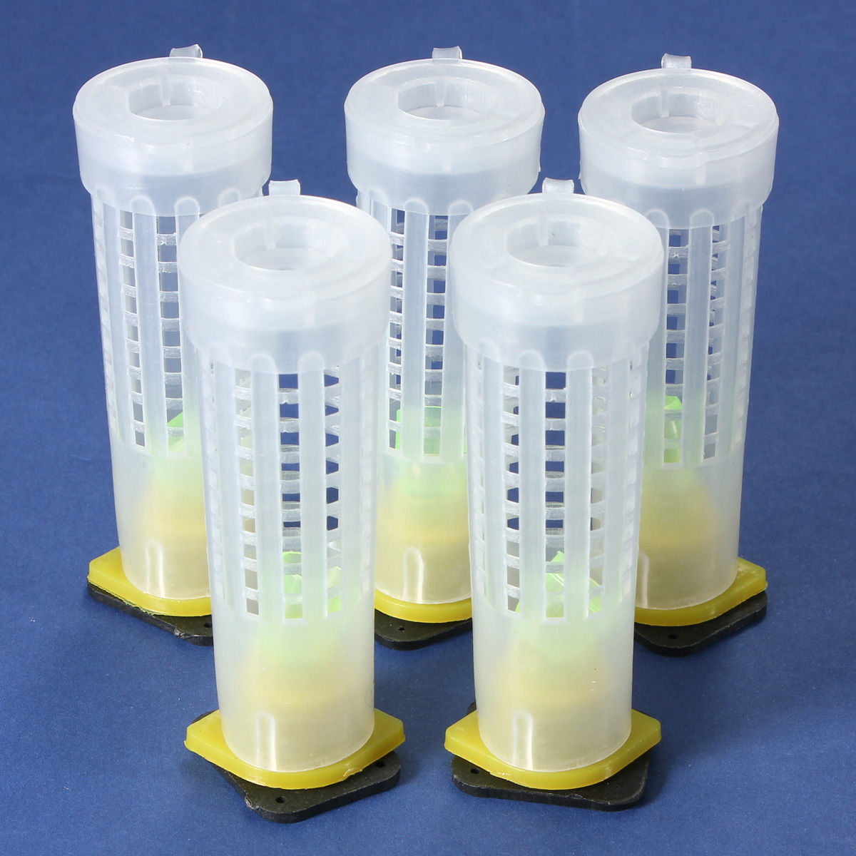 Plastic Queen cage QC13ChinaApiculture