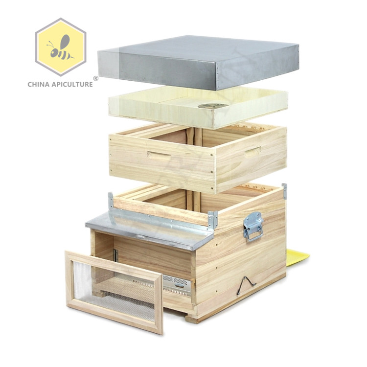 Dadant Blatt Beehive