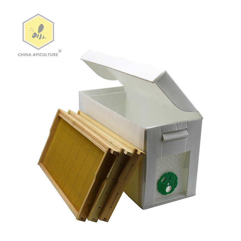 5 Frames Plastic Nucleus Beehive